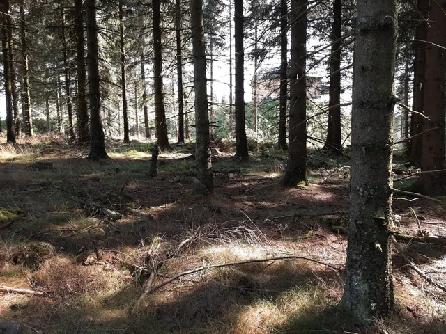 photo-1