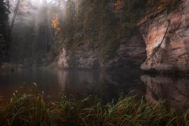 Taevaskoja Neitsikoobas