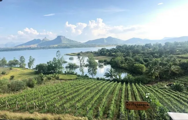 Vallonne Vineyards Pvt Ltd