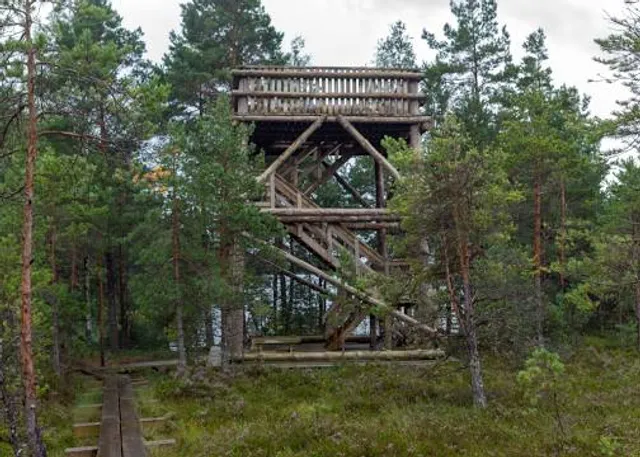 Nigula raba matkarada