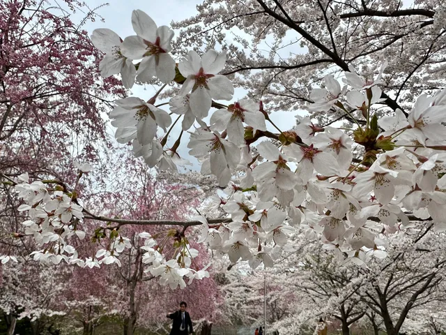 Ashino Children's Zoo