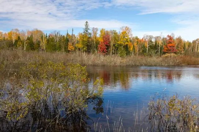 Seney National Wildlife Refuge - Main Unit
