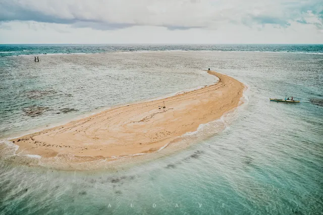 Sperm Island