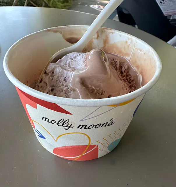 Molly Moon's Homemade Ice Cream Edmonds