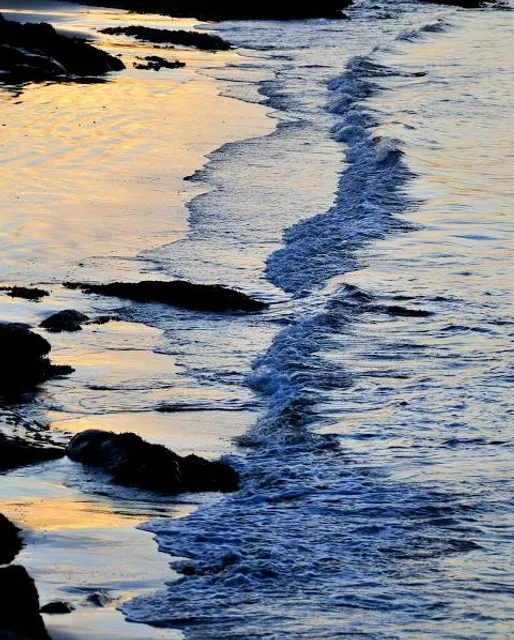 Boat Harbour Reserve