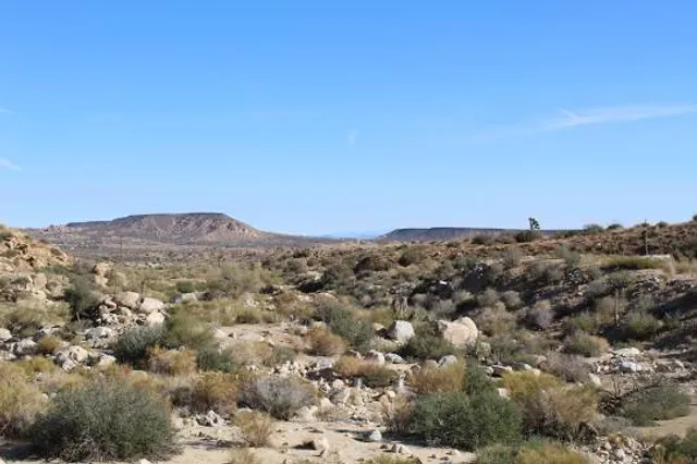 Pioneertown Mountains Preserve