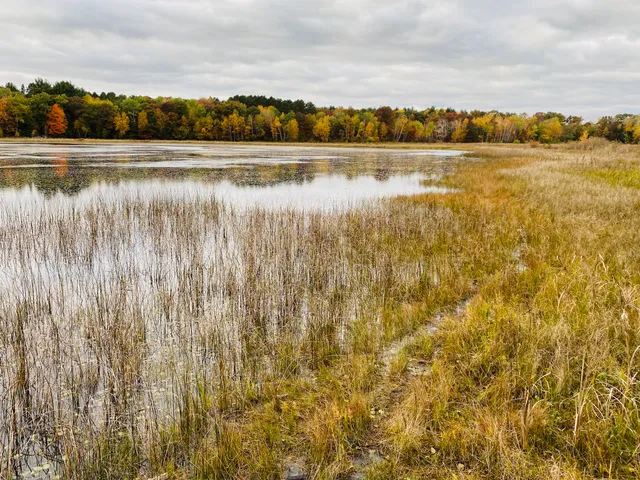 Wayside Prairie Park