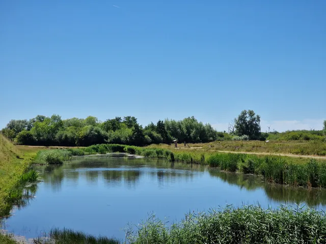 Natuurreservaat d’ Oude Schaapskooi