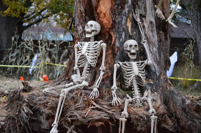 Friends of the Garden City