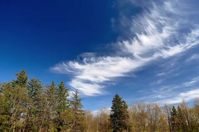River Oaks County Park