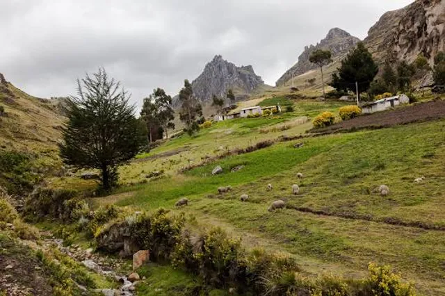 The Lands at Hillside Farms