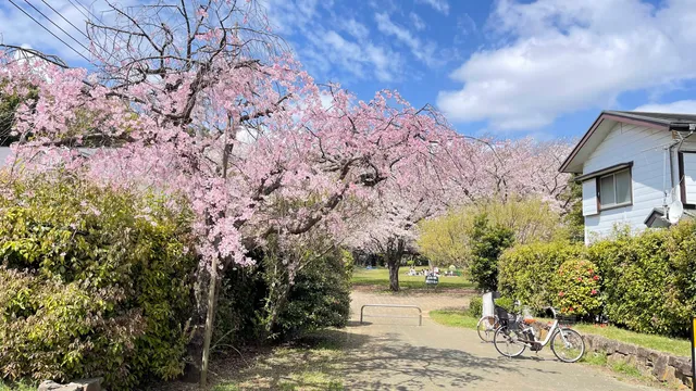 Saginuma Castle Site Park