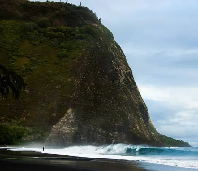 photo-1