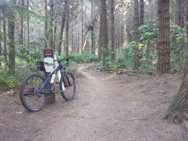 Craters Mountain Bike Park