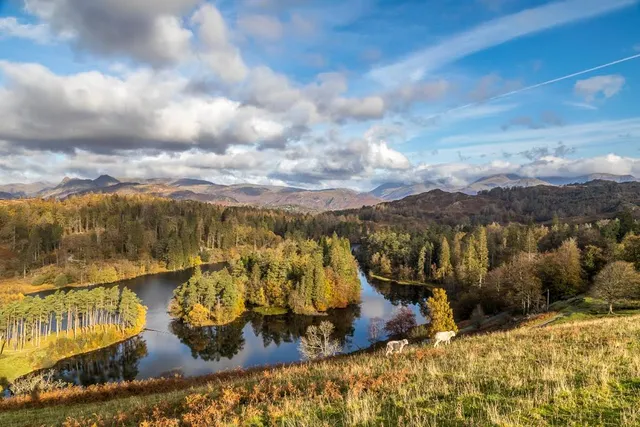 Holme Fell