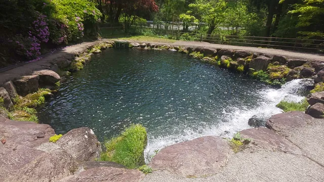 Fishing Pond Nishimura