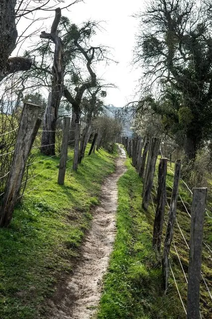 Sentier nature MANTERNACHER FIELS