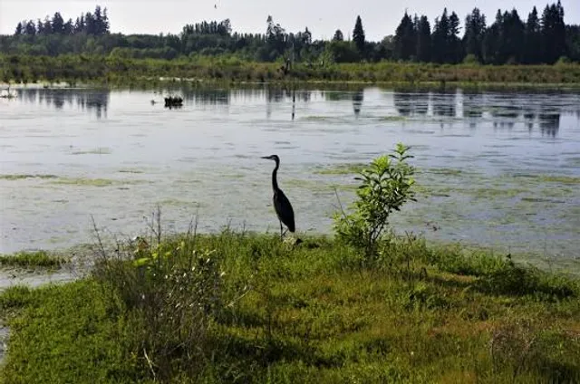 Tualatin River National Wildlife Refuge Visitor Center