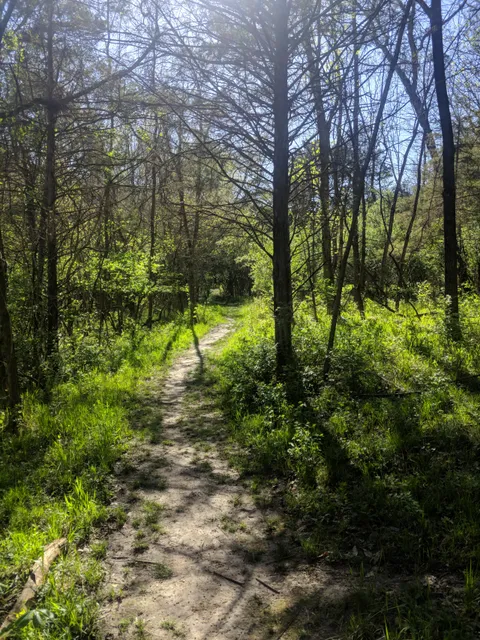 Strawberry Creek Nature Area