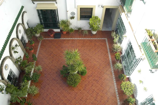 Apartamento Los Olivos Jerez