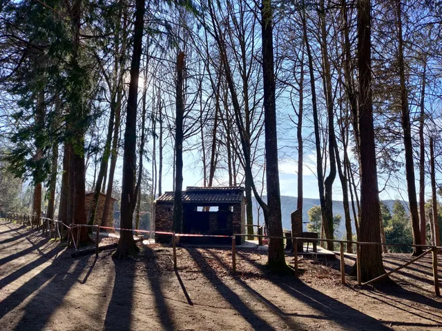 Cernache do Bonjardim