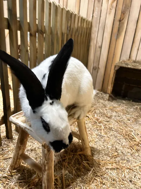 Le Monde de Noé - Centre Montparnasse
