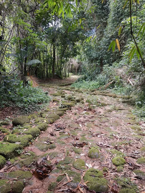 Caminho do Ouro em Paraty