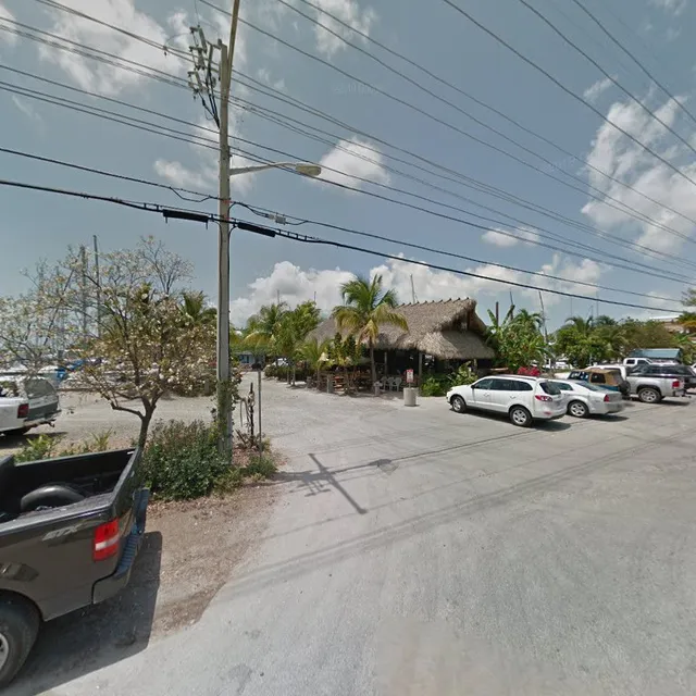 Key West Snorkel Fish Combo