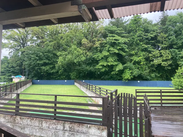 Dog Field_takanezawa