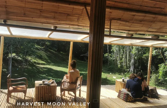 Harvest Moon Valley ฮาเวสมูน แวลลีย์ ฟาร์ม