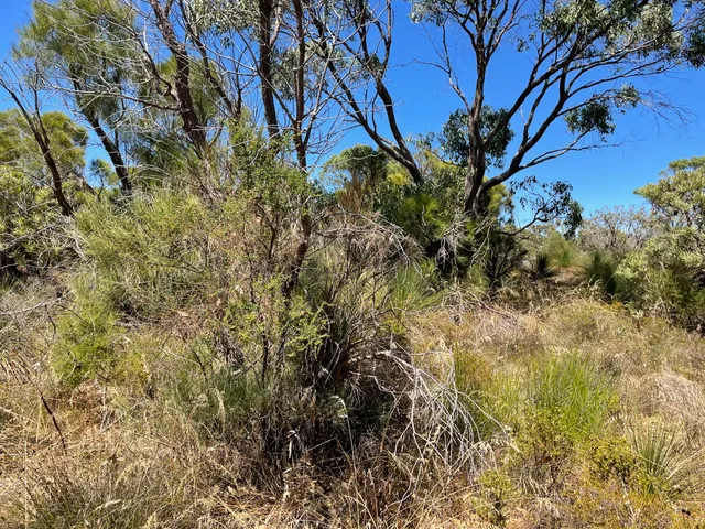 Star Swamp Bushland Reserve
