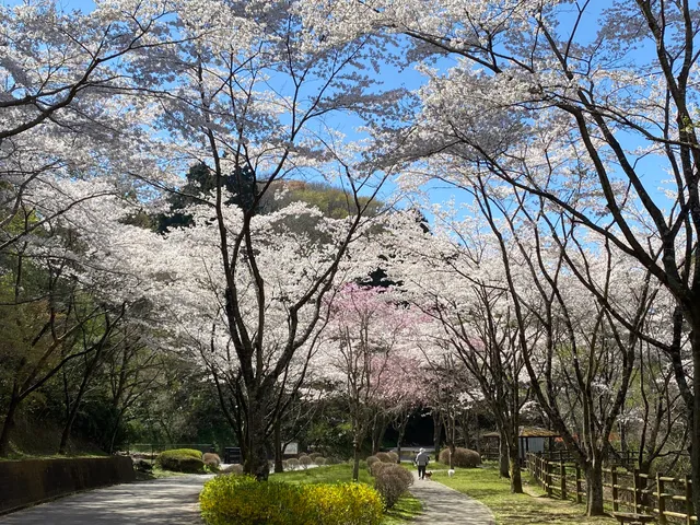 Fukushima Prefectural Iwaki Park