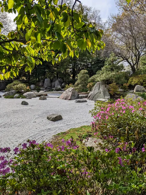 MFA Japanese Garden