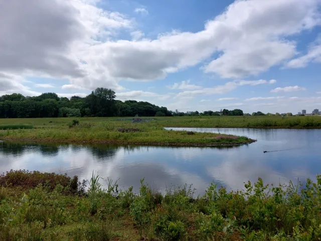 Kersal Wetlands