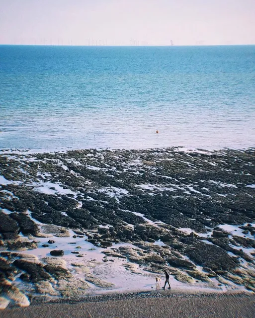photo-1