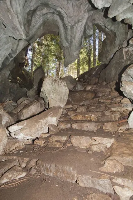 Area A (Kyuquot/Nootka/Sayward)