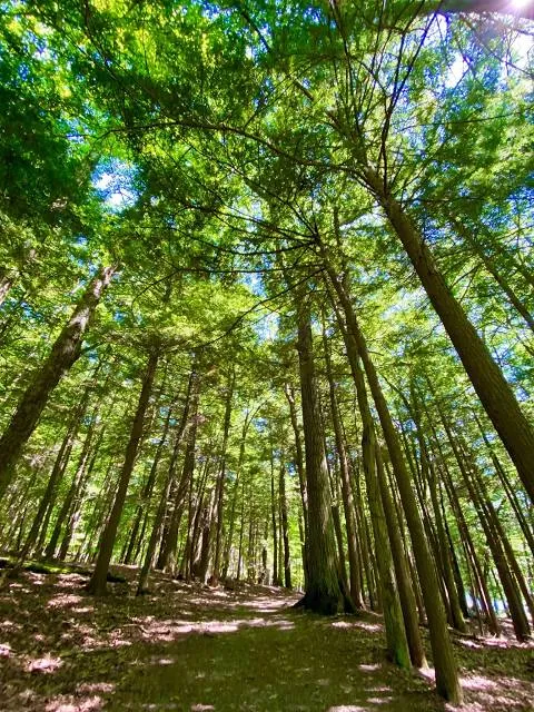 Gilbert Lake State Park