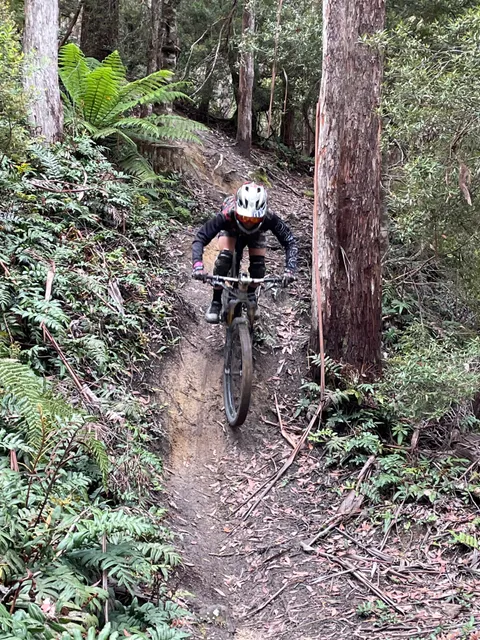 Maydena MTB Park