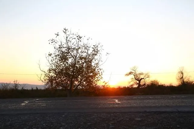 Urbana District Park