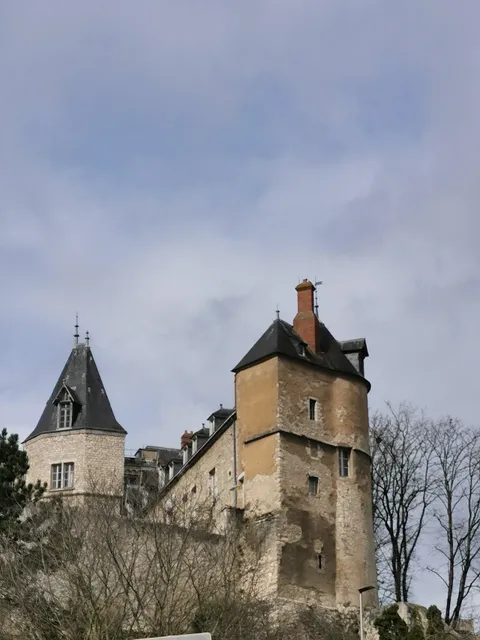 Château Royal de Montargis