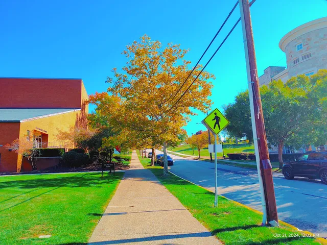 Olin Fine Arts Center