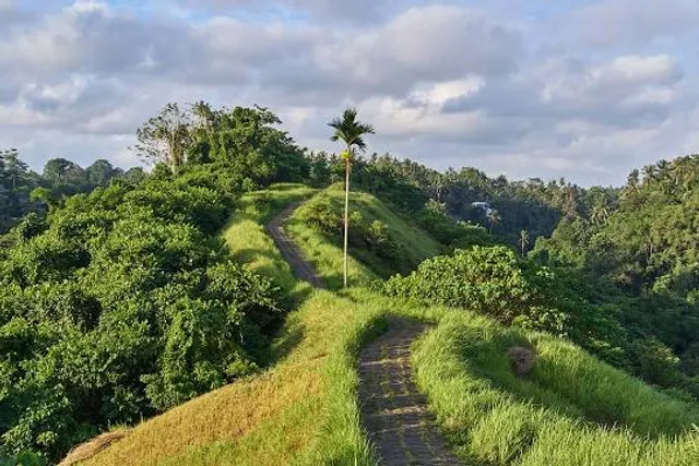 Campuhan Ridge Walk