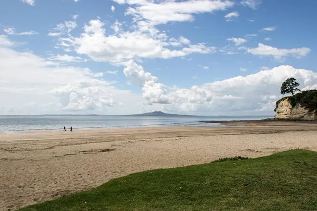 Browns Bay Beach Reserve