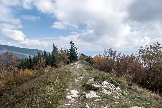 Kozí chrbát (1330 m)