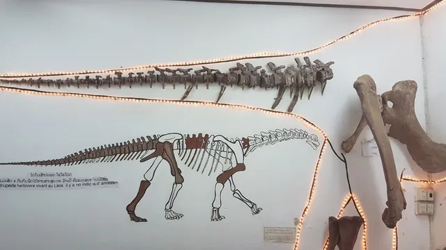 Savannakhet Dinosaur Museum