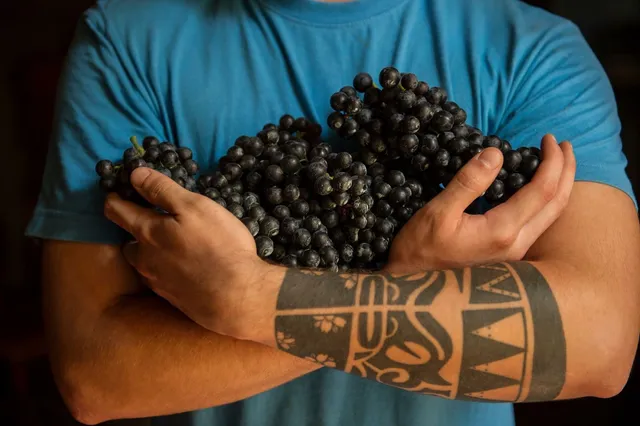 CANTINA NEPOS VILLAE