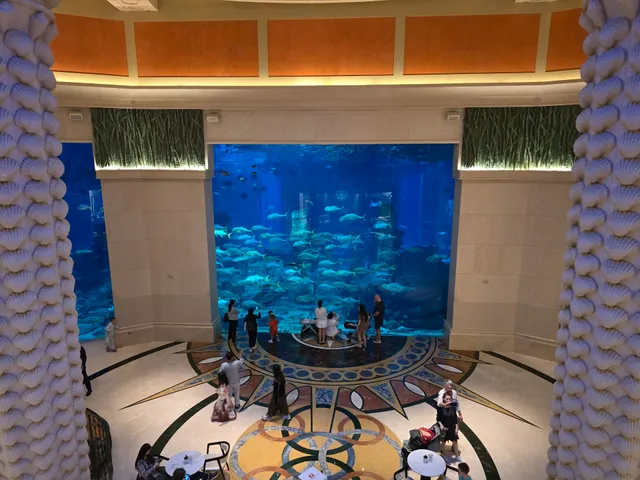 Hotel Aquarium - Atlantis, The Palm
