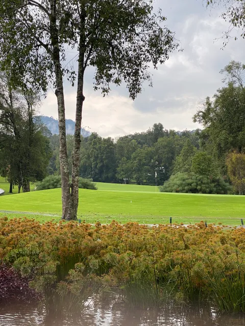 Restaurante Acuarima Avandaro