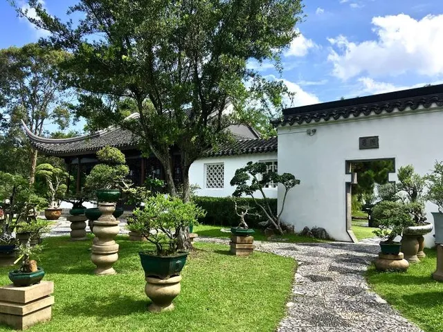 Japanischer Bonsaigarten