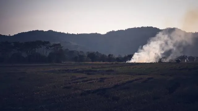 Dhanpuri - Eco Tourism (Jambughoda Wildlife Sanctuary)